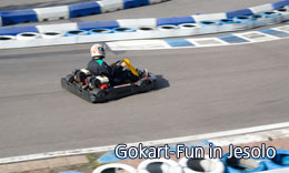 Gokart